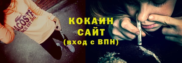 сатива Алзамай