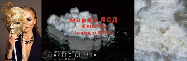 стаф Алексин