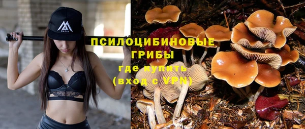 трава Абаза