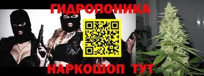 индика Пугачёв