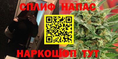 индика Пугачёв
