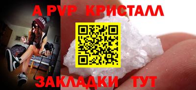 индика Пугачёв