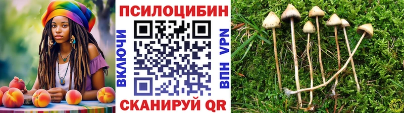 Галлюциногенные грибы Magic Shrooms  мега маркетплейс  Тында  где продают наркотики 